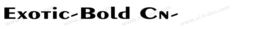 Exotic-Bold Cn字体转换